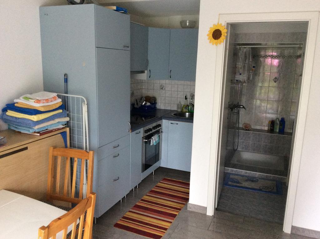 Apartment Alina Sigirino ภายนอก รูปภาพ